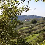 Tilla Villa